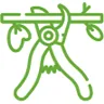 pflege schnittarbeiten